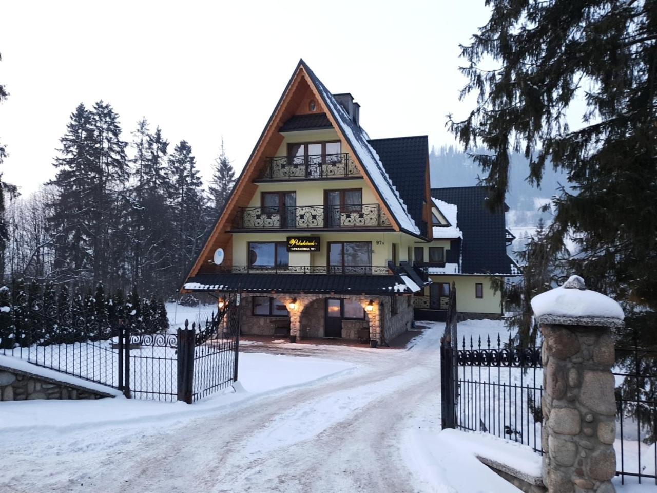 Willa Polakowka Poronin Exterior photo